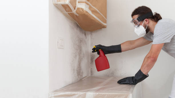 Professional Basement Mold Remediation technician working in Howard, PA