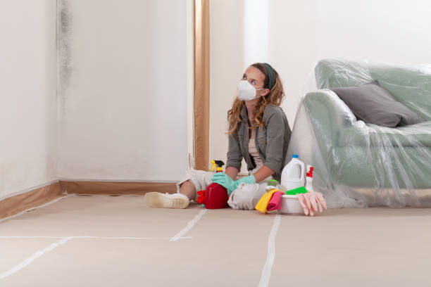 Reliable Basement Mold Remediation contractor in Howard, PA by WQB Mold Removal